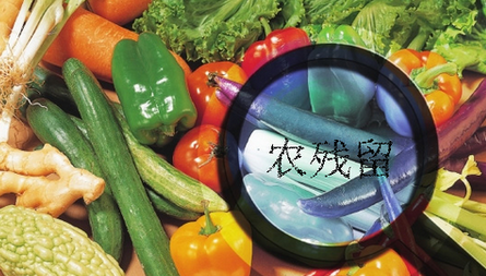 農(nóng)藥殘留檢測儀結(jié)果無法上傳是什么原因？農(nóng)藥殘留檢測儀的故障排除方法
